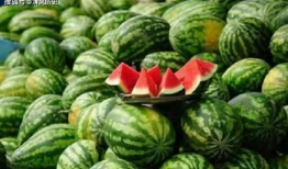 718吃瓜网张瑾瑜,揭秘718吃瓜网背后的故事