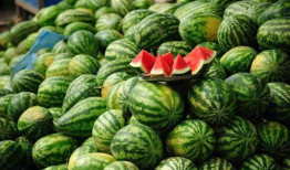 网红吃瓜颜色分类,颜色分类下的美食世界