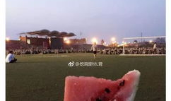 吃瓜网军训跳舞,青春活力舞动，军训新风尚