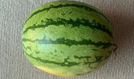 全球热网吃瓜,吃瓜群众视角下的热点事件追踪